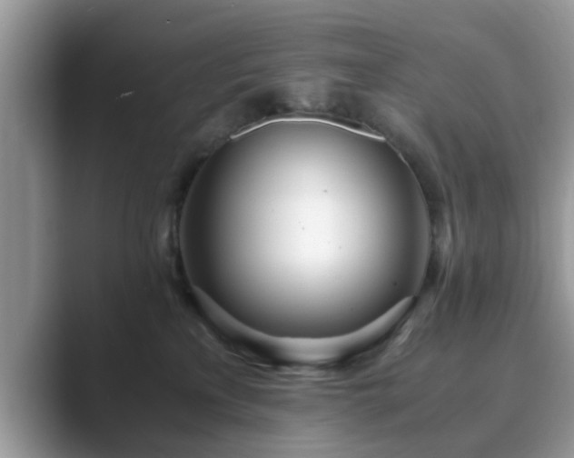 X0000089870233200707051157