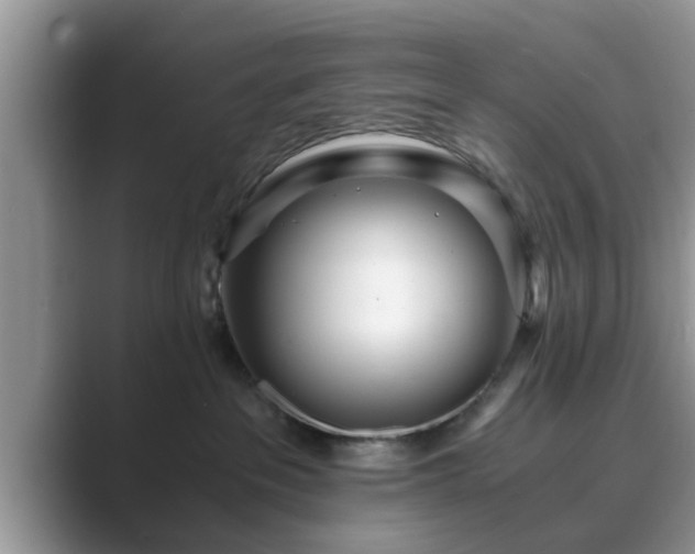 X0000089870237200707051157