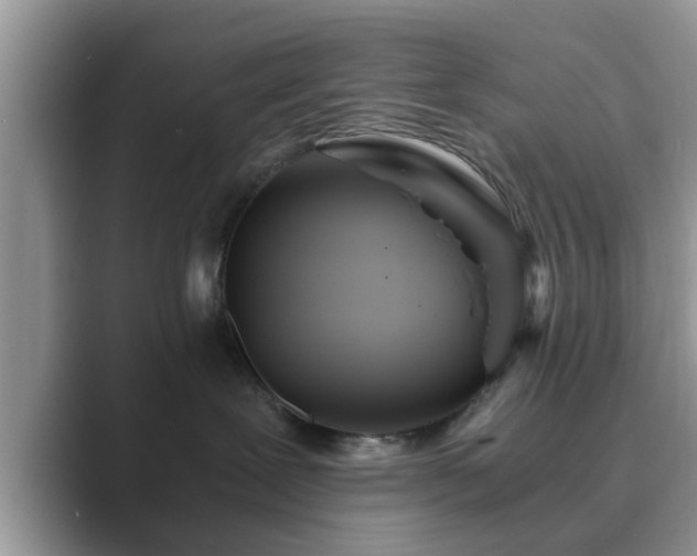 X0000089870239200707051157