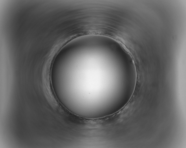 X0000089870241200707051157