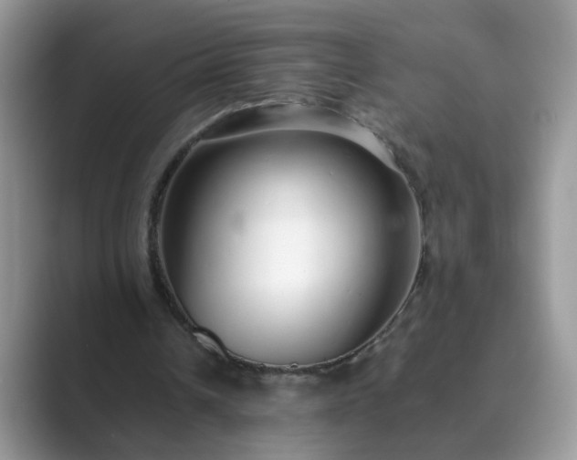 X0000089870242200707051157