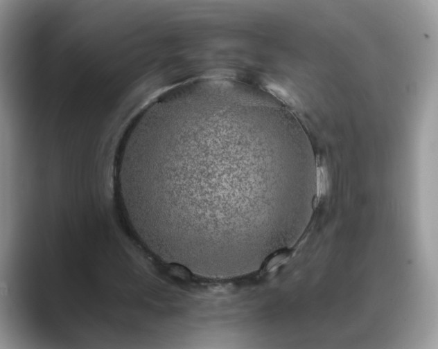 X0000089870243200707051157