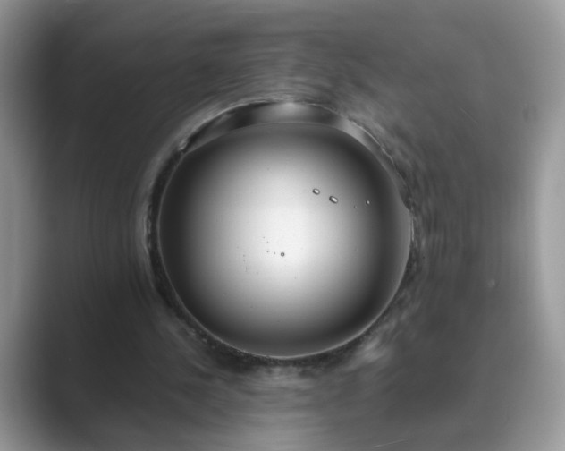 X0000089870244200707051157