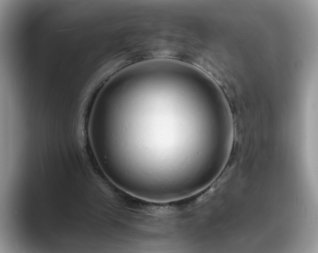 X0000089870245200707051157
