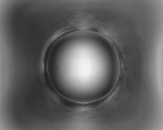 X0000089870246200707051157
