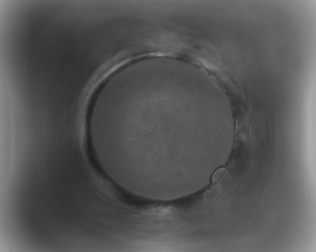 X0000089870247200707051157