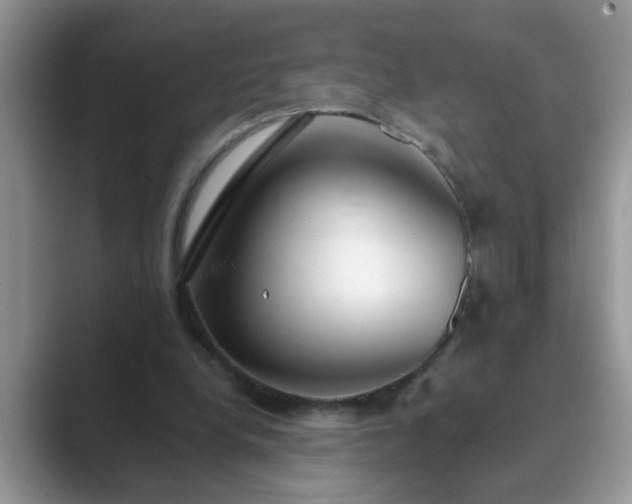 X0000089870248200707051157