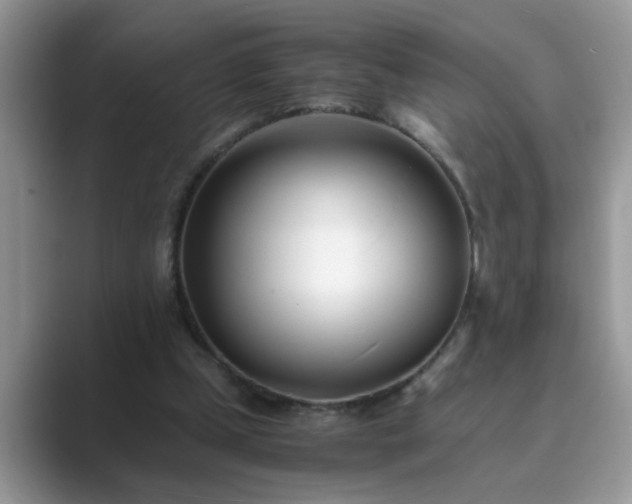 X0000089870249200707051157