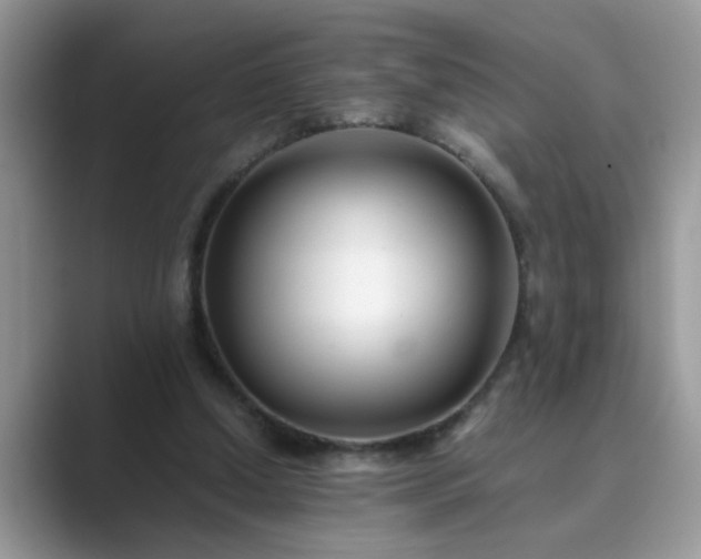 X0000089870250200707051157