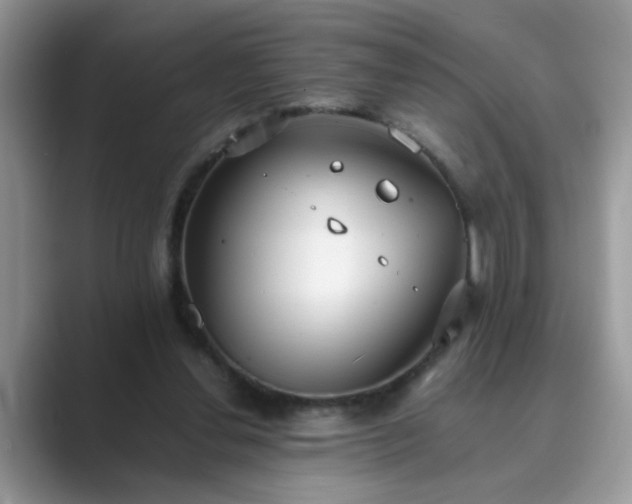 X0000089870252200707051157