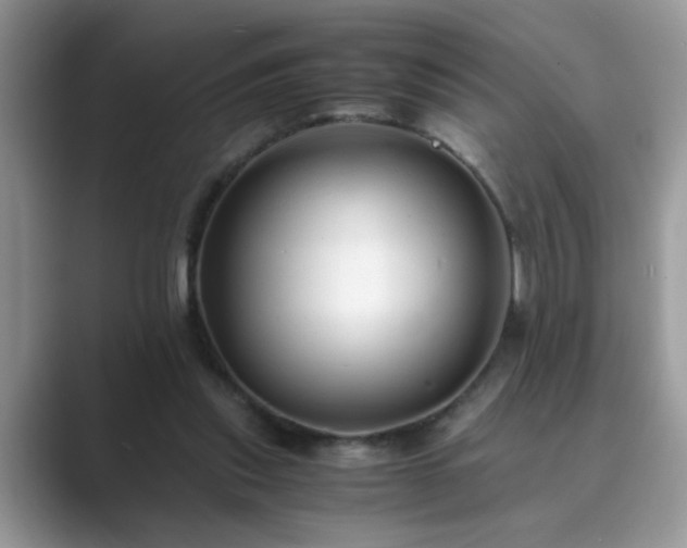 X0000089870253200707051157