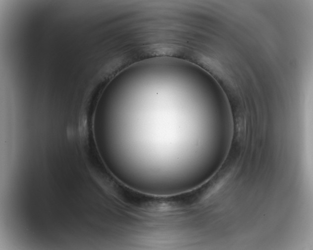 X0000089870254200707051157