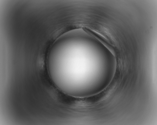 X0000089870259200707051157
