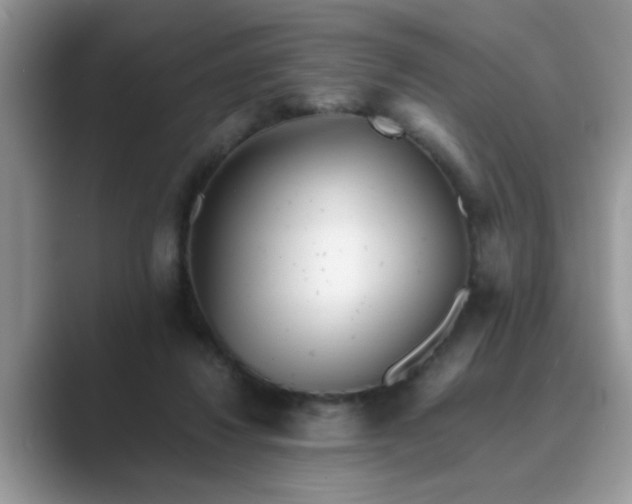 X0000089870260200707051157