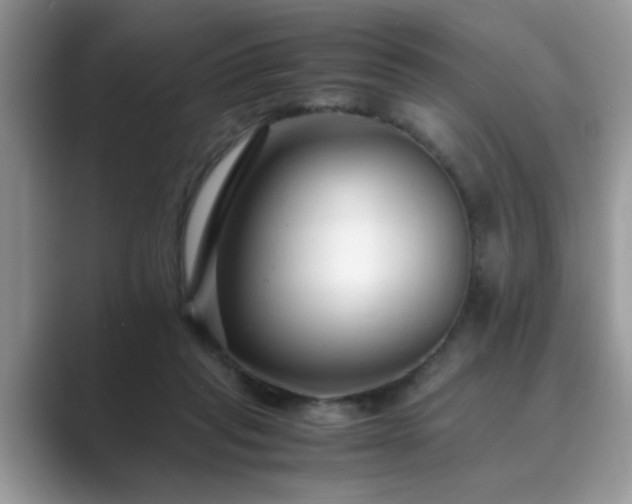 X0000089870261200707051157