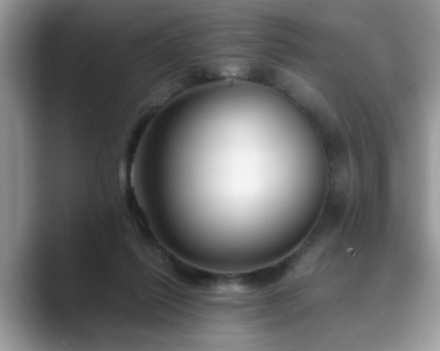 X0000089870262200707051157
