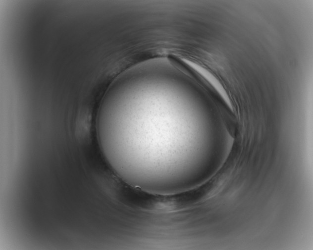 X0000089870263200707051157