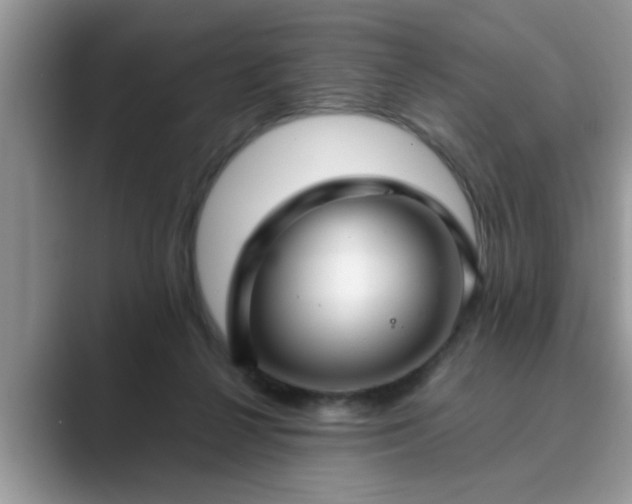 X0000089870264200707051157