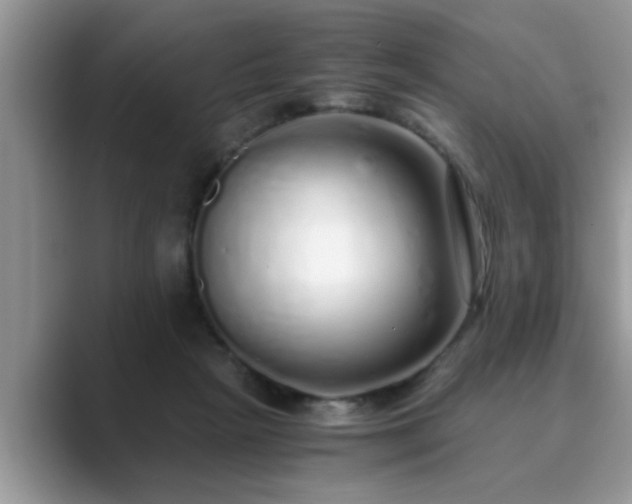 X0000089870265200707051157