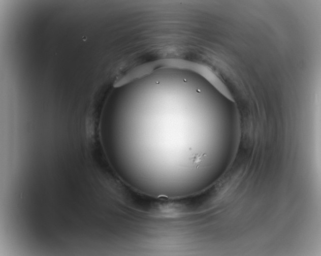 X0000089870268200707051157