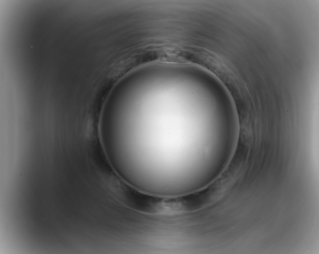 X0000089870270200707051157
