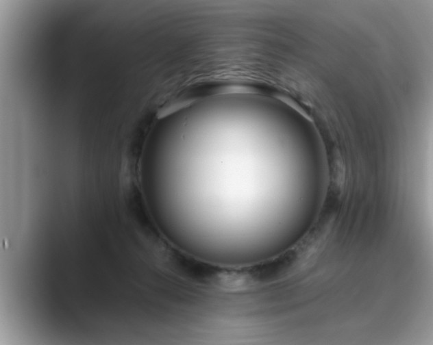 X0000089870272200707051157
