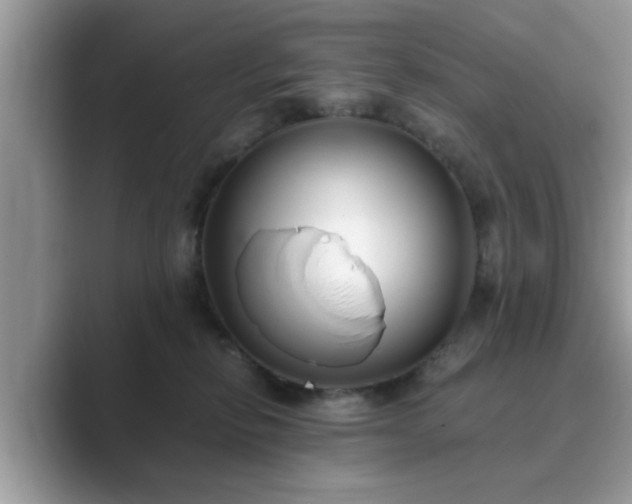 X0000089870278200707051157