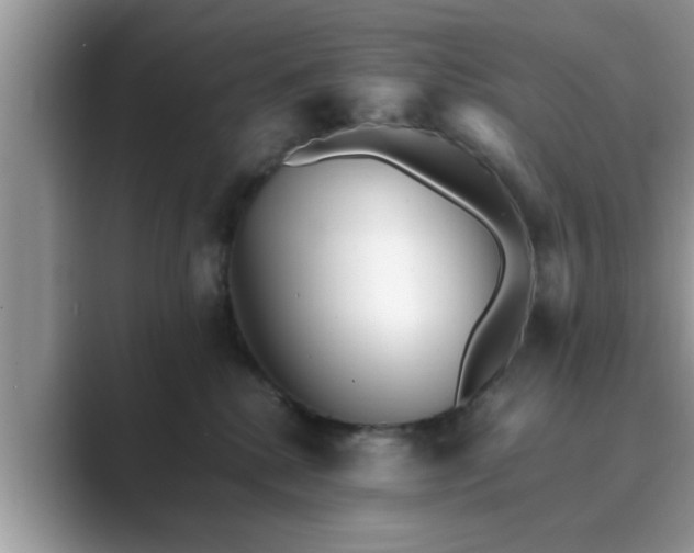 X0000089870280200707051157