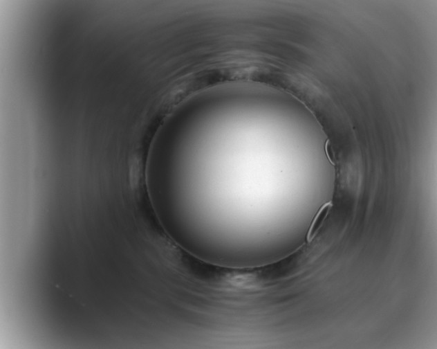 X0000089870283200707051157