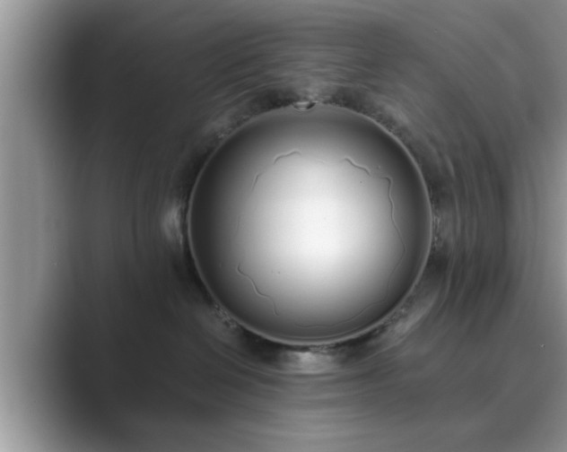 X0000089870286200707051157