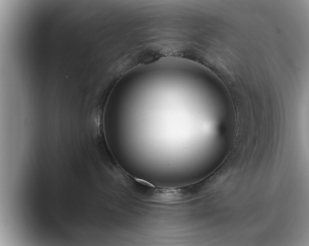 X0000089870288200707051157