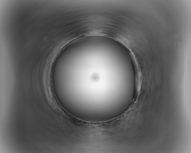X0000089870289200707051157