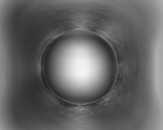 X0000089870290200707051157