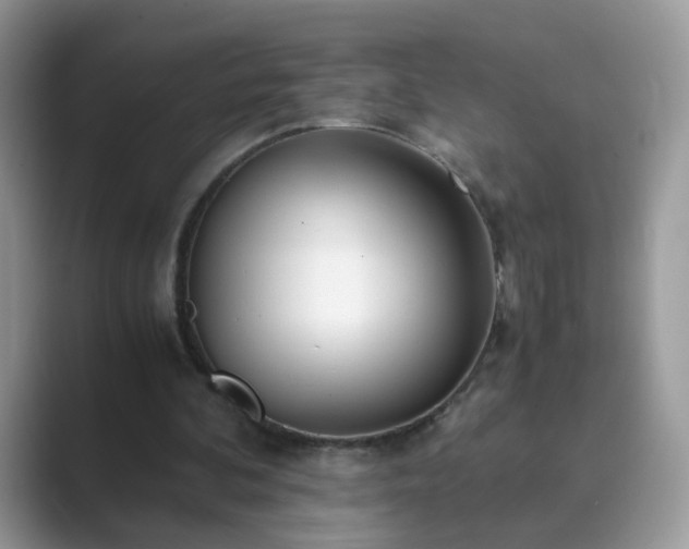 X0000089870292200707051157