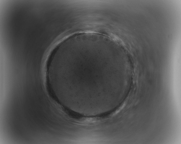 X0000089870295200707051157