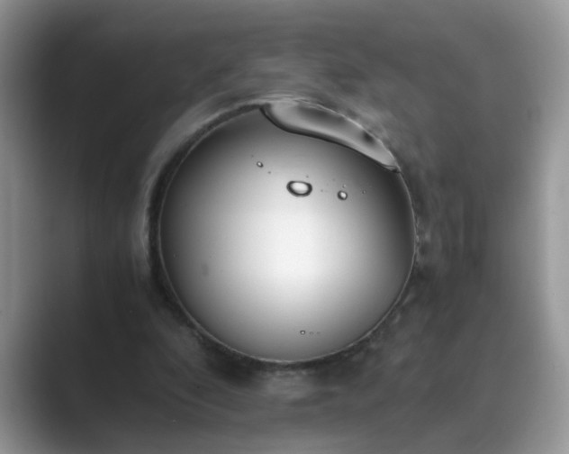 X0000089870296200707051157