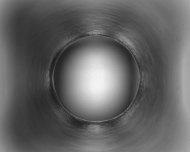 X0000089870298200707051157