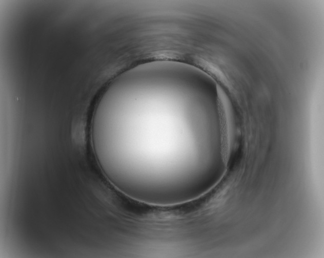X0000089870299200707051157