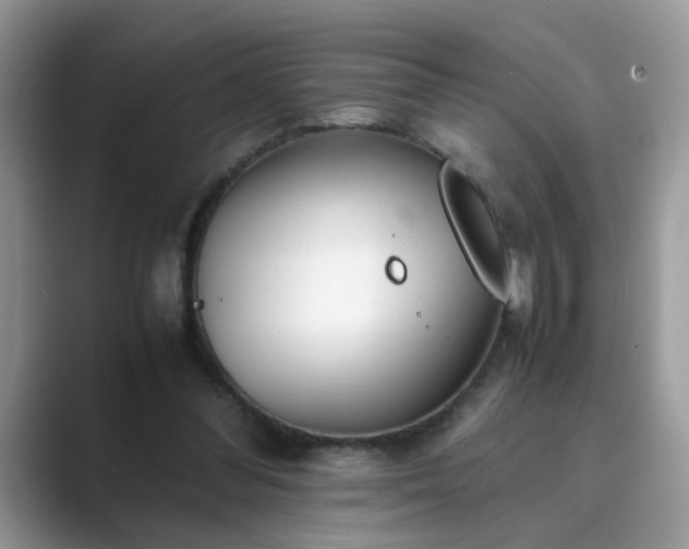 X0000089870300200707051157