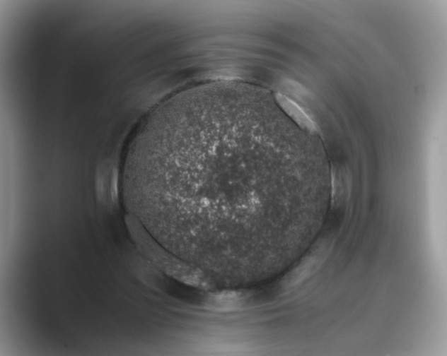 X0000089870301200707051157