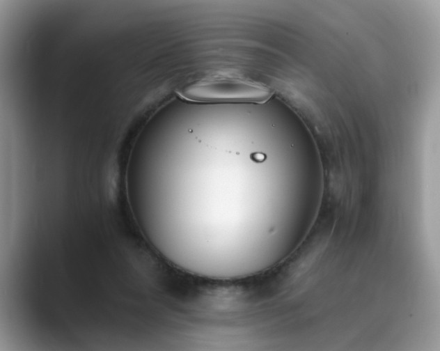 X0000089870304200707051156