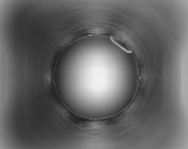 X0000089870305200707051156
