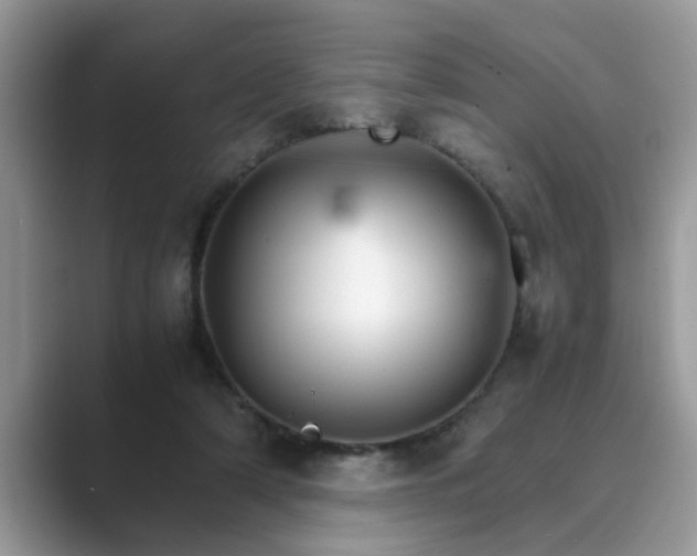 X0000089870306200707051156
