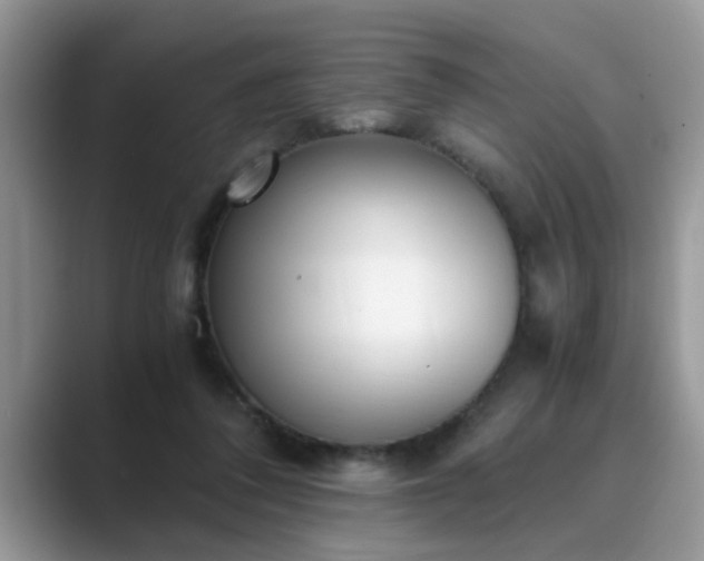 X0000089870308200707051156