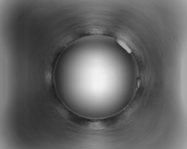 X0000089870309200707051156