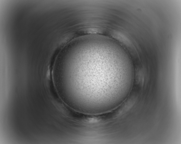 X0000089870310200707051156