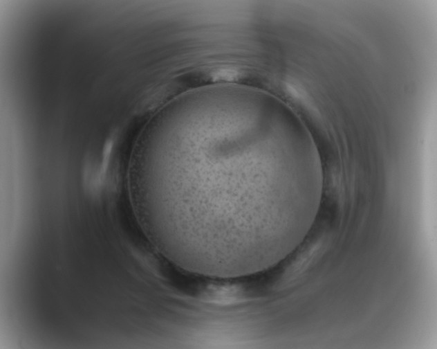 X0000089870311200707051156