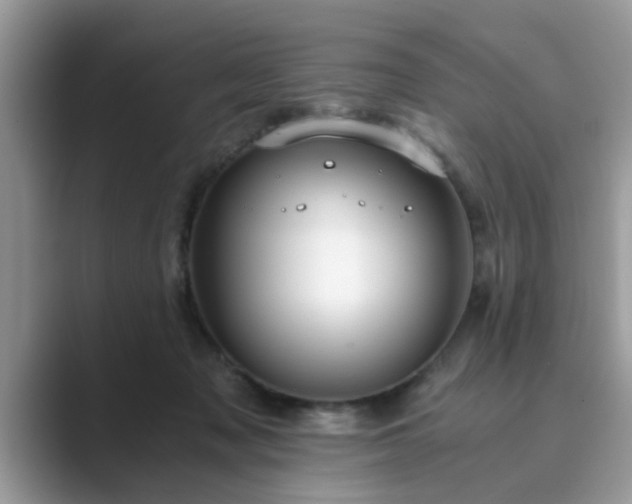 X0000089870317200707051156