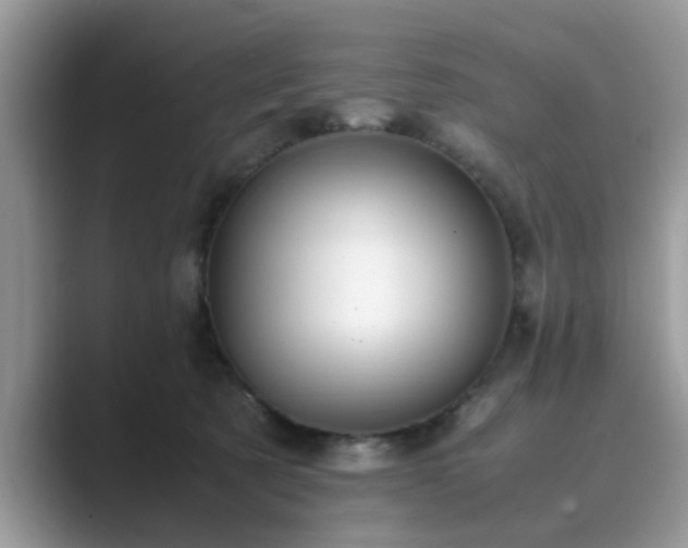 X0000089870321200707051156