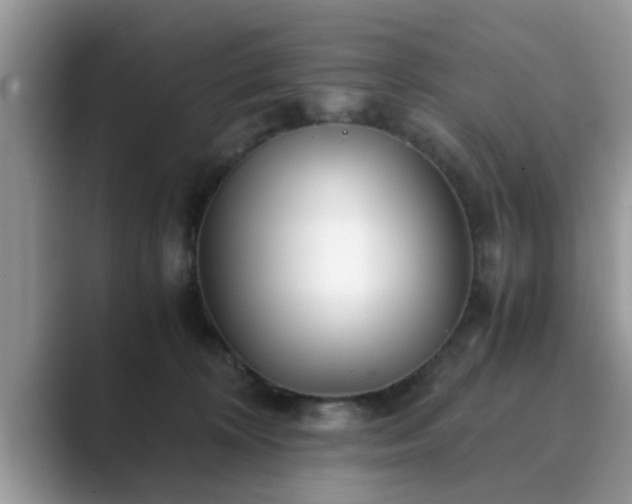 X0000089870324200707051156